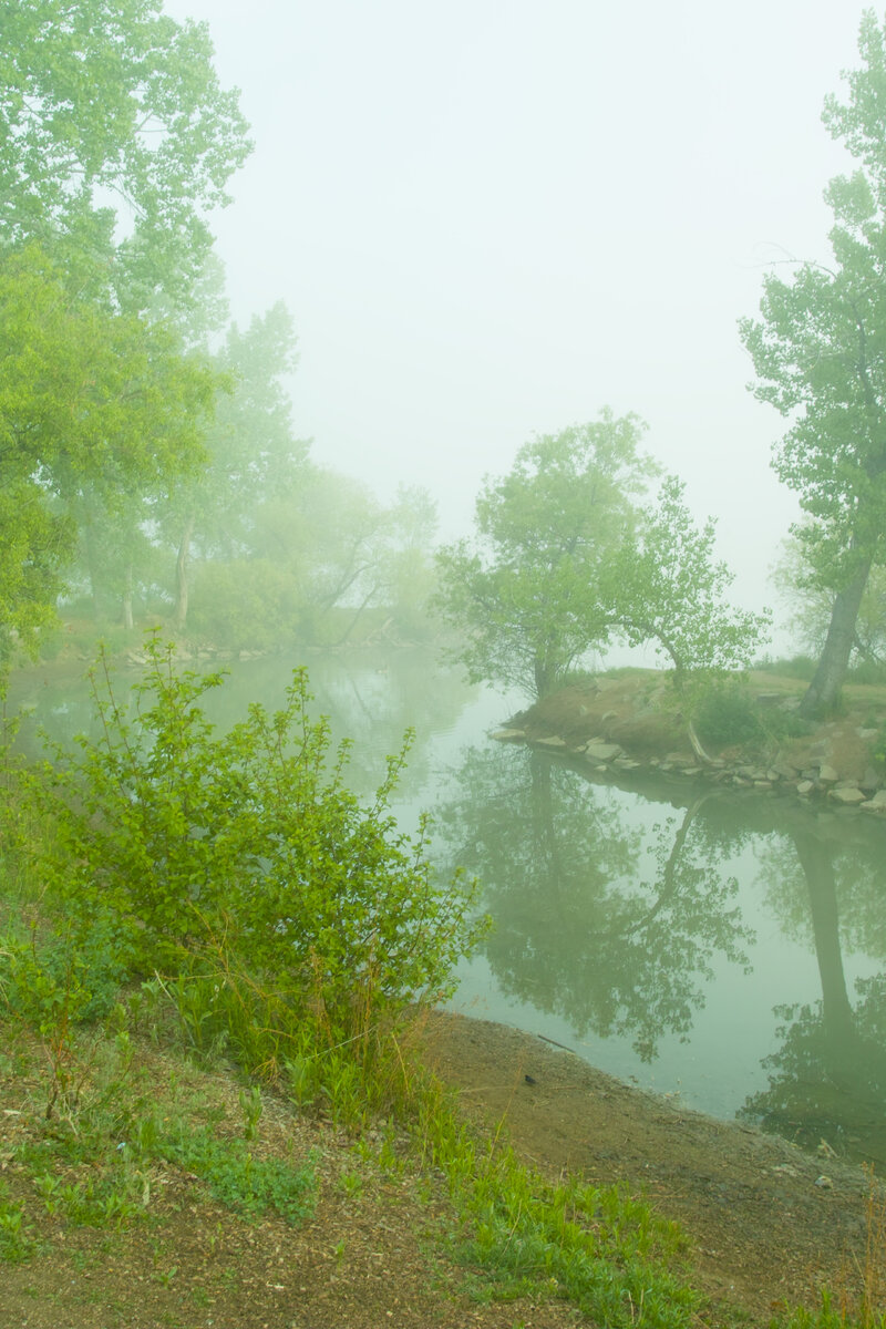 SDIM0751.jpg