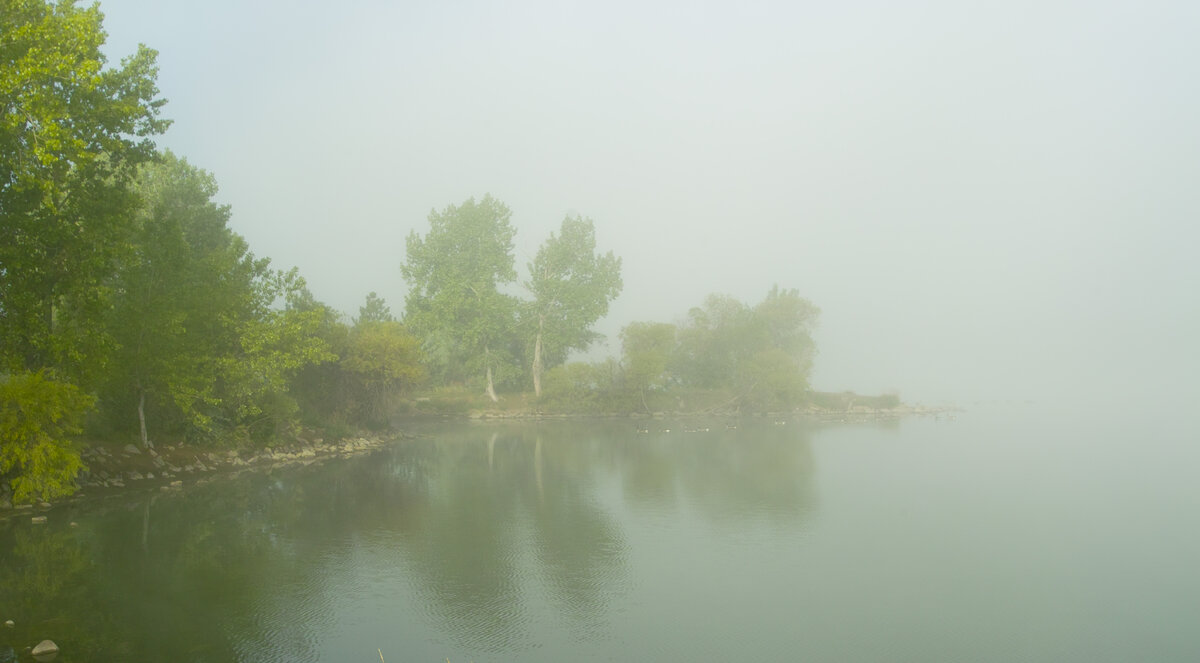 SDIM0777.jpg