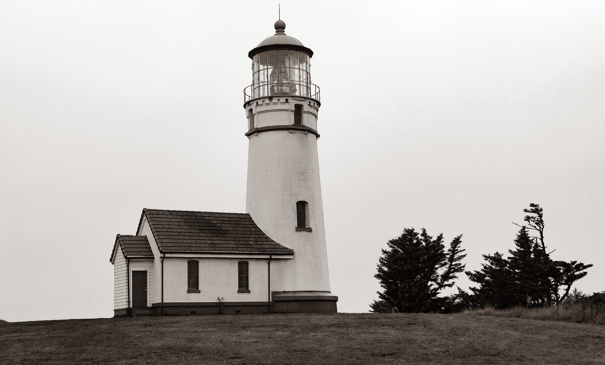 SDIM2510bw.jpg