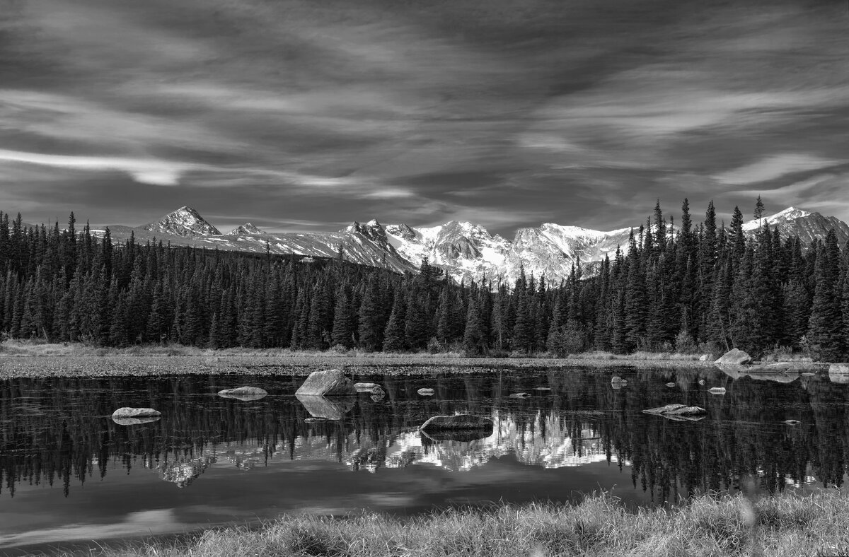 SDIM4247bw.jpg