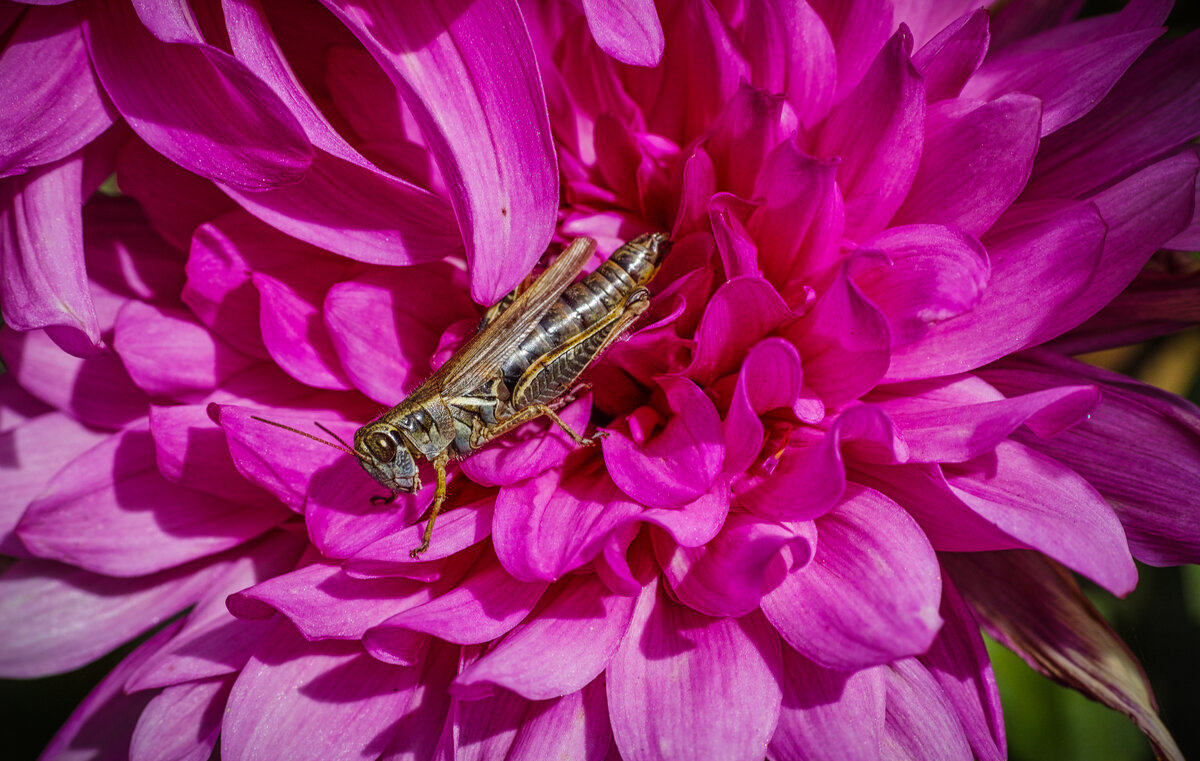 SDIM4749-1.jpg