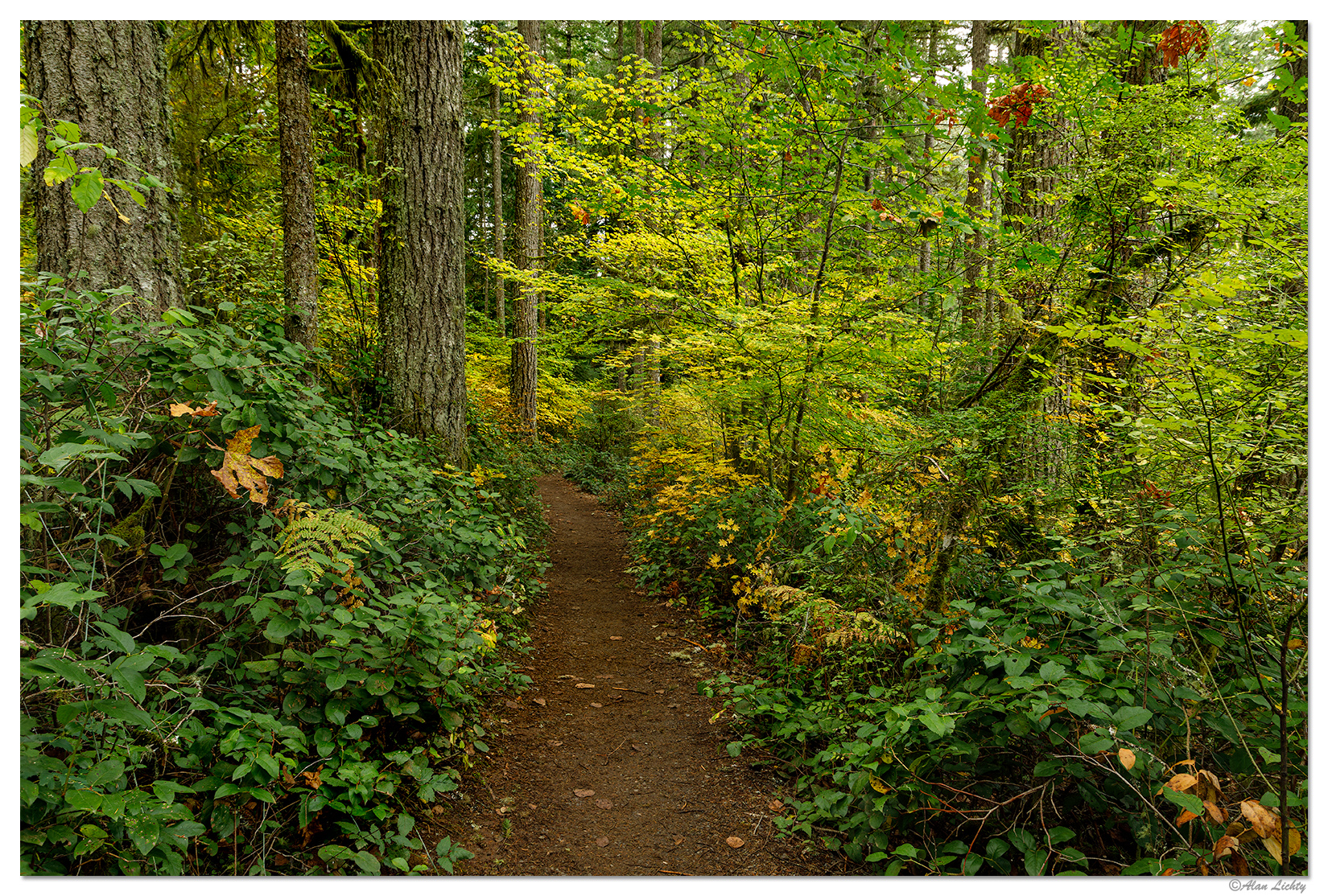SFSP-NRimTrail1.jpg