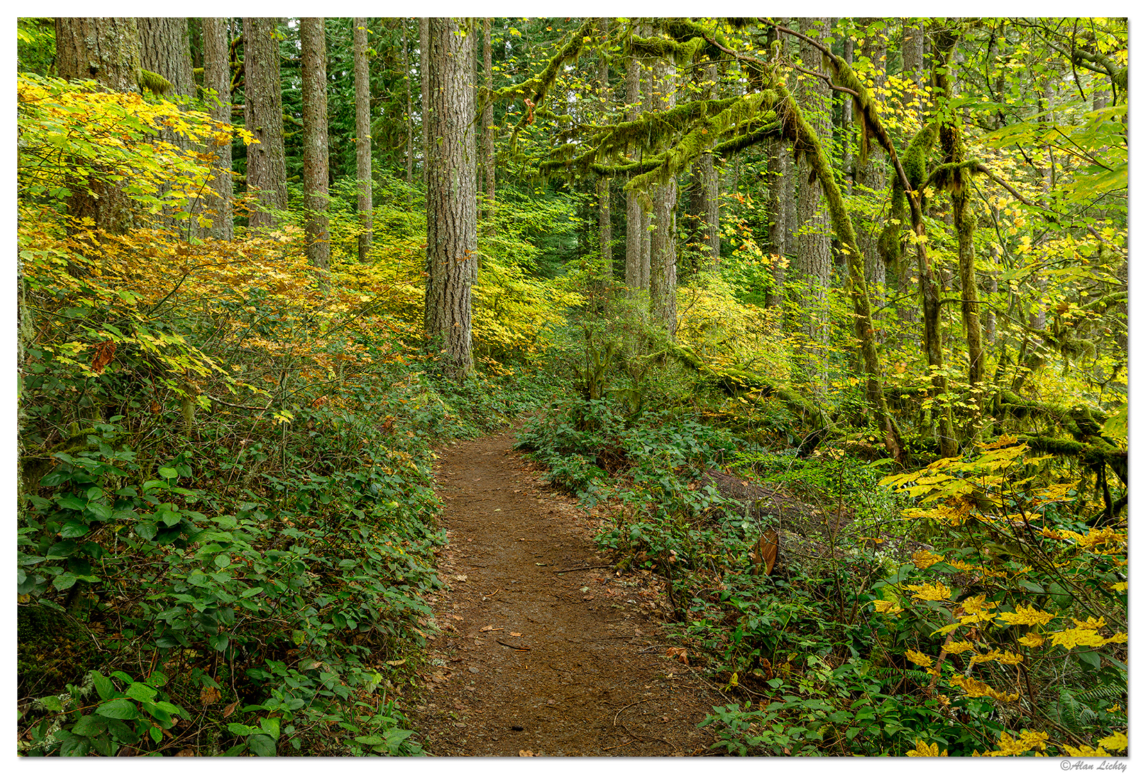 SFSPNRimTrail3.jpg