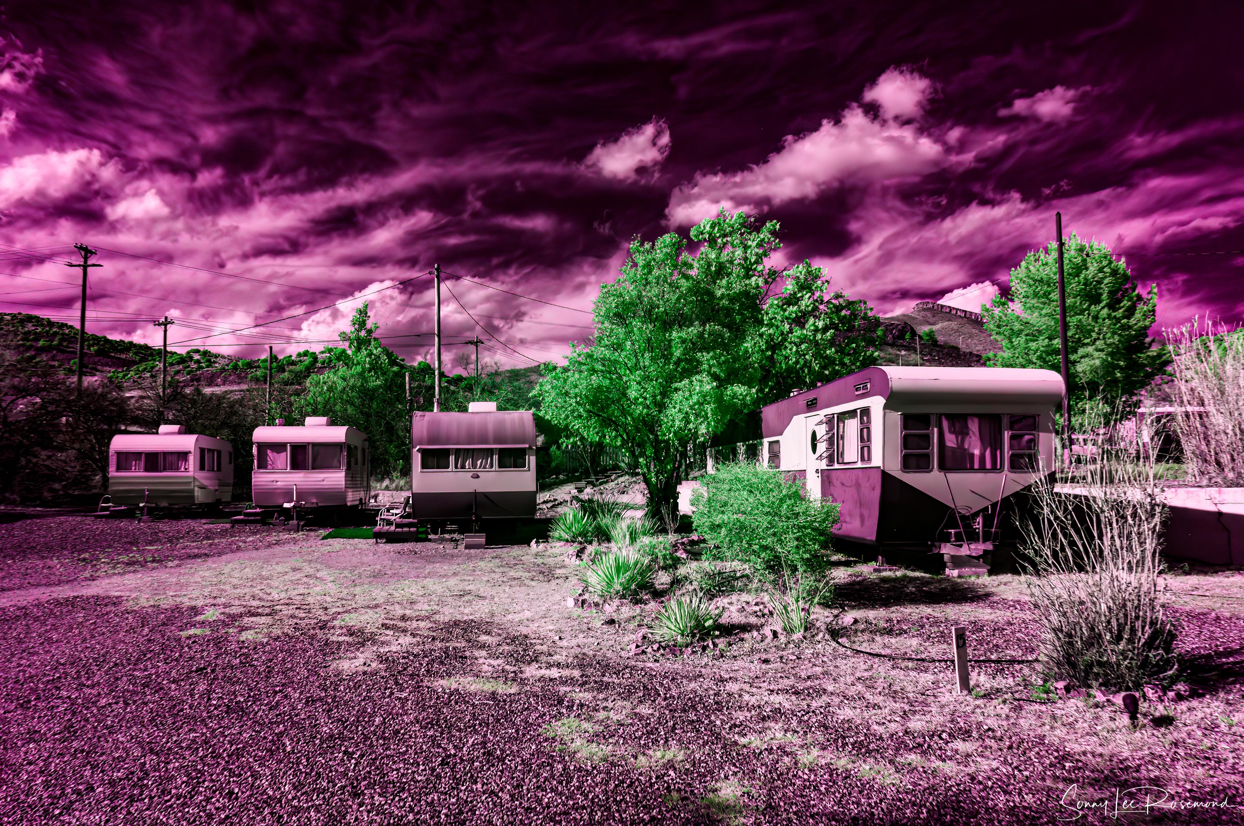 shady_dell_032023-3-1.jpg
