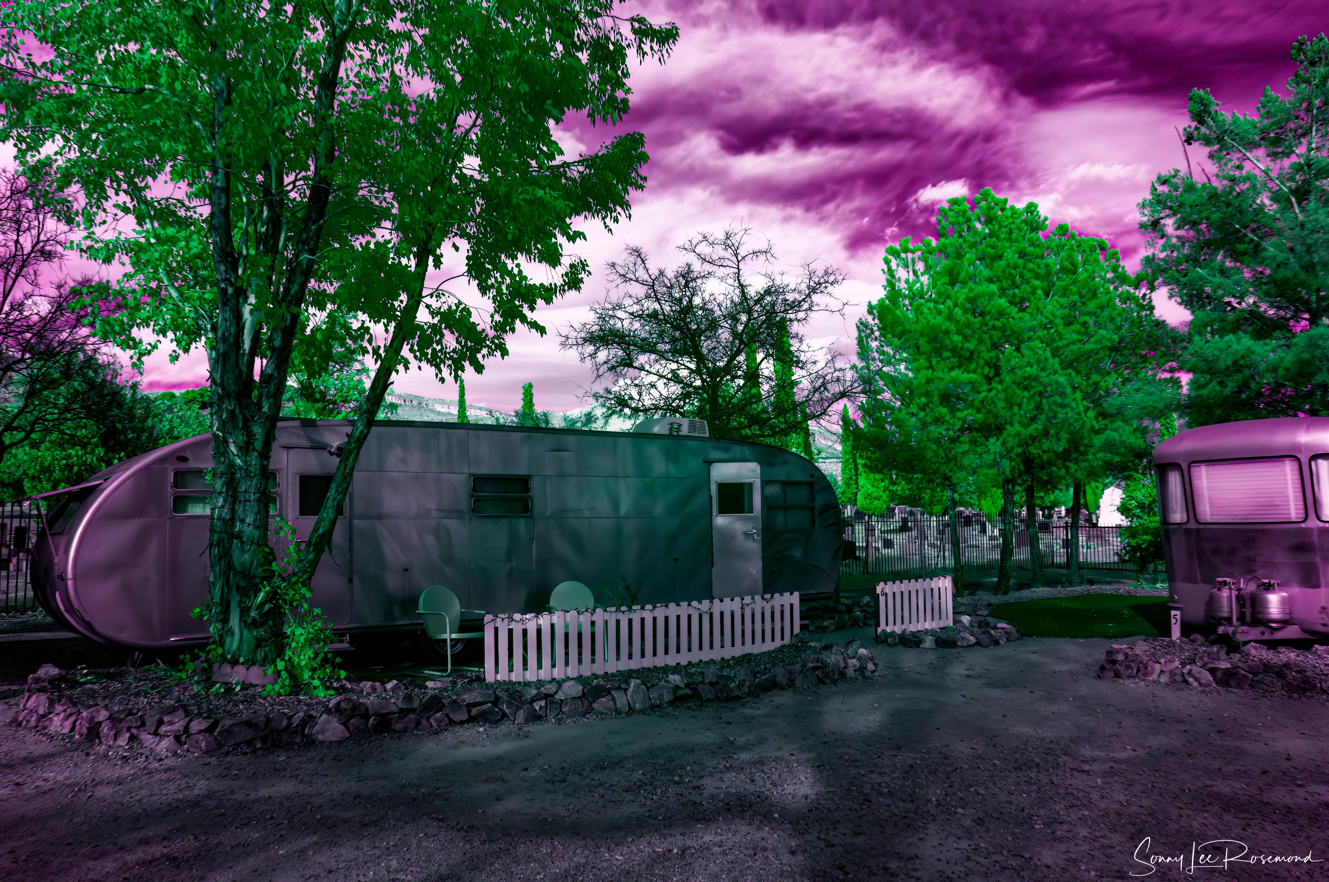 shady_dell_032023-5-1.jpg