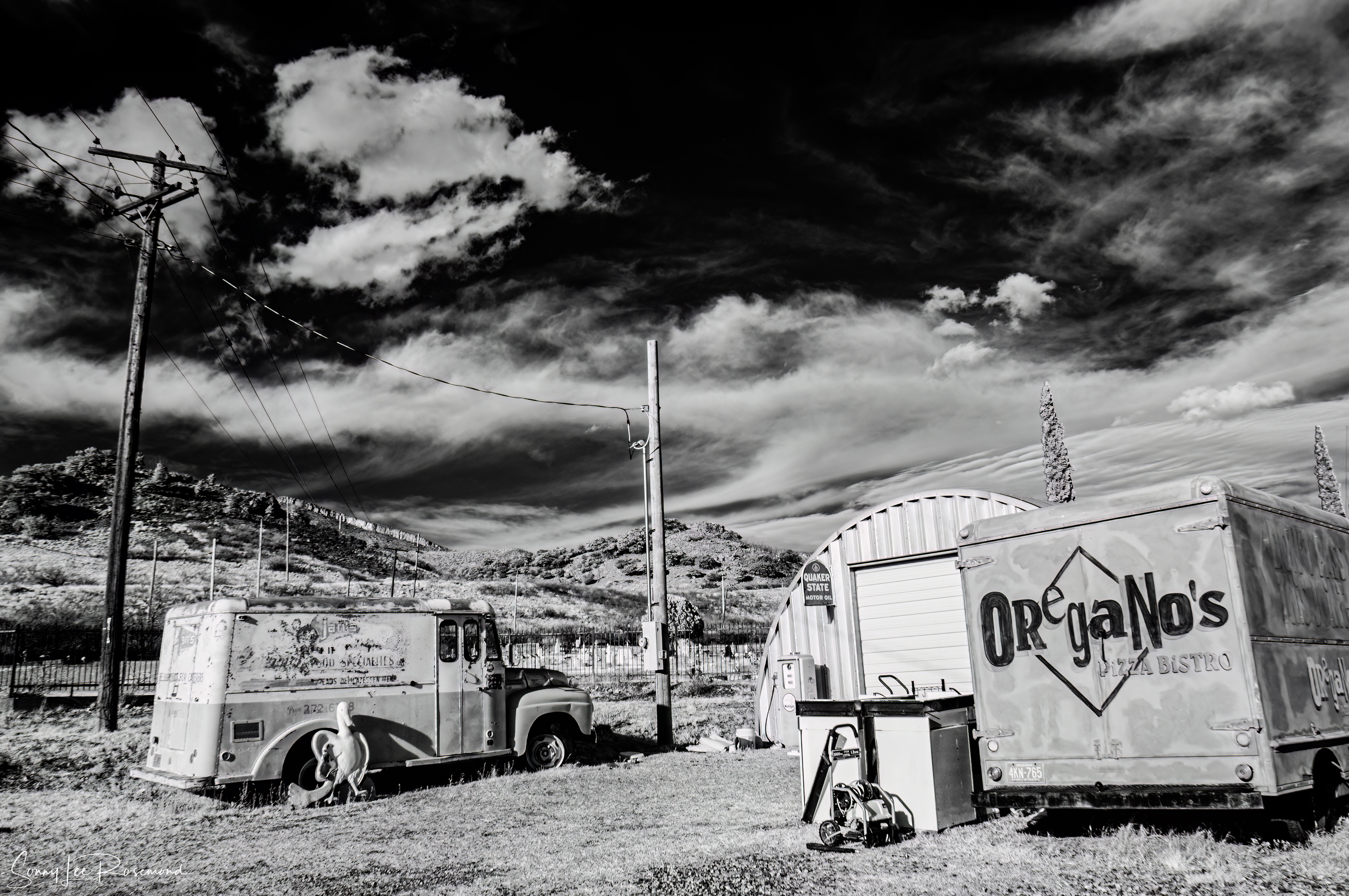shady_dell_032023-bw-1-1.jpg