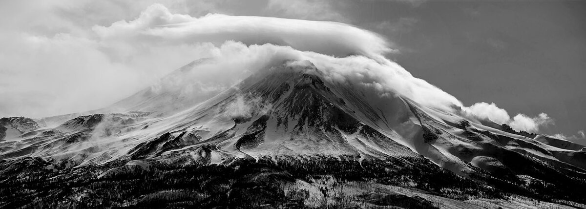 Shasta2.jpg