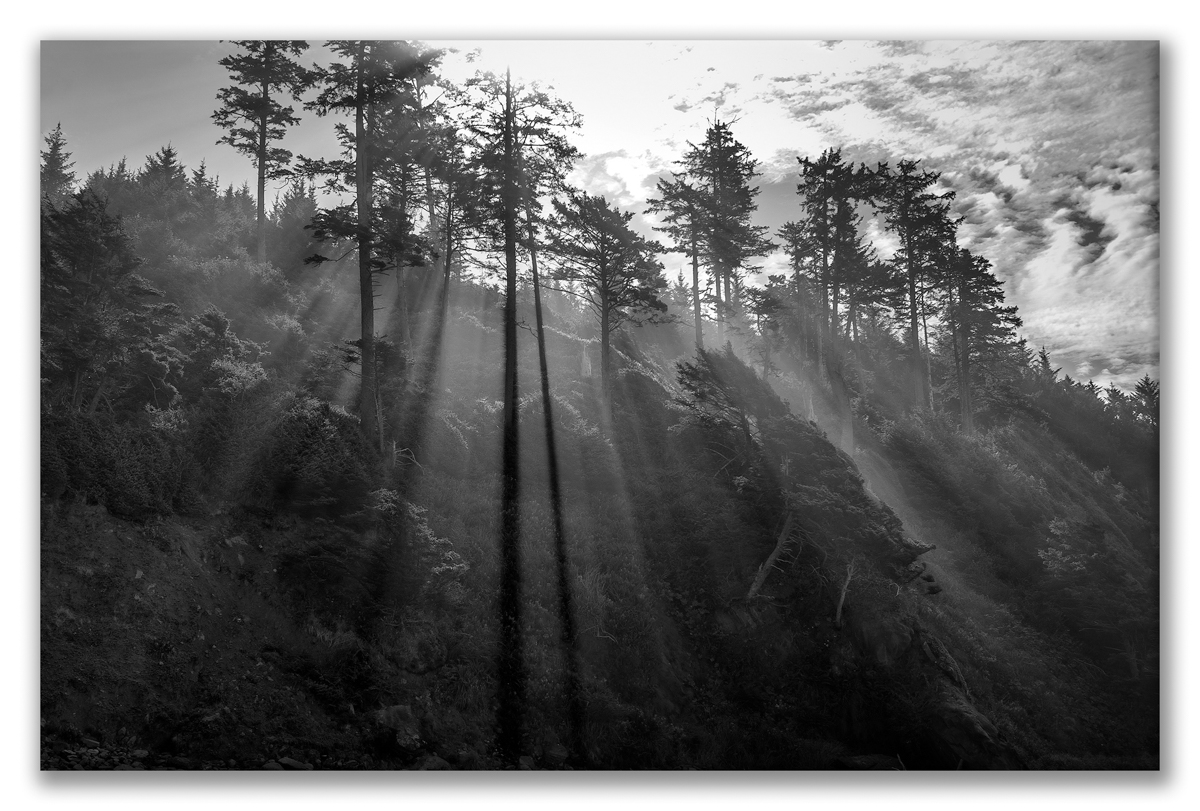 Shi Shi Sunblast shadows-2.jpg