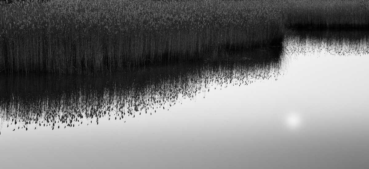 Shoreline - Dale Berlin.jpg