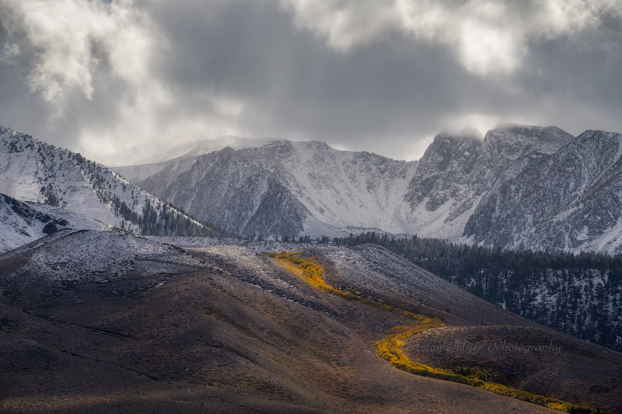 Sidewinder to Snow.jpg