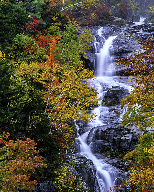 Silver Cascade.jpg