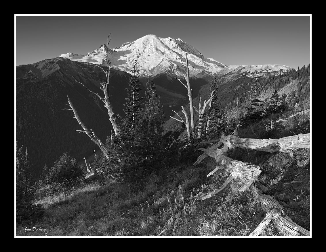 Silver-Forest-Sunrise_Pano-bw.jpg