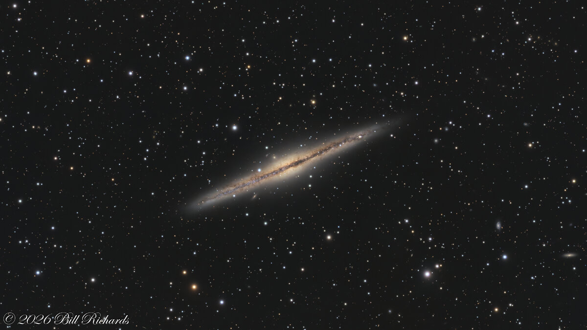 Silver Sliver Galaxy-NGC891 (cropped).jpg