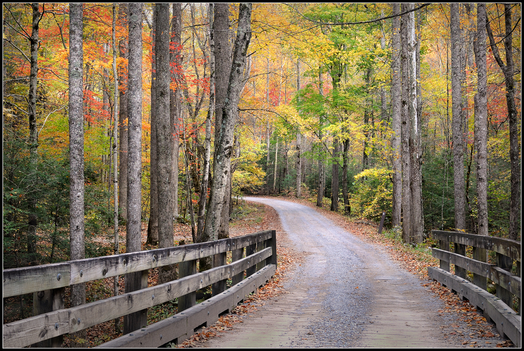 Smokies 2011-09.jpg