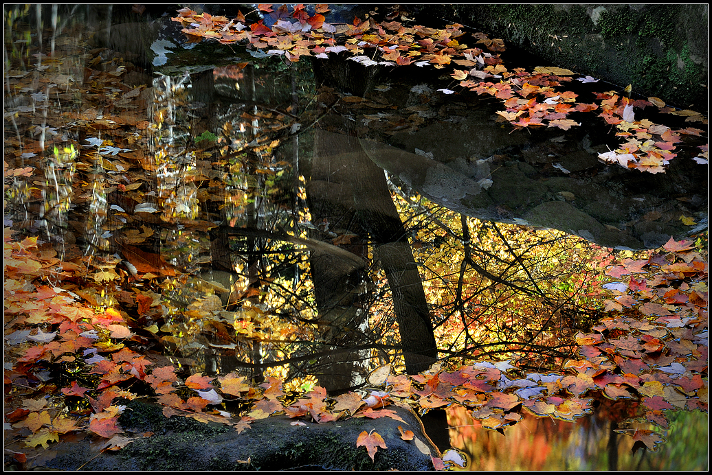 Smokies 2011-10.jpg