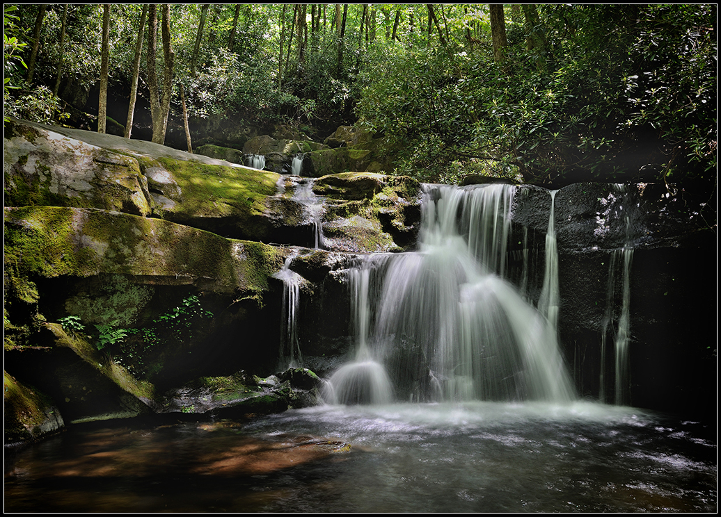 Smokies May 2015-08.jpg