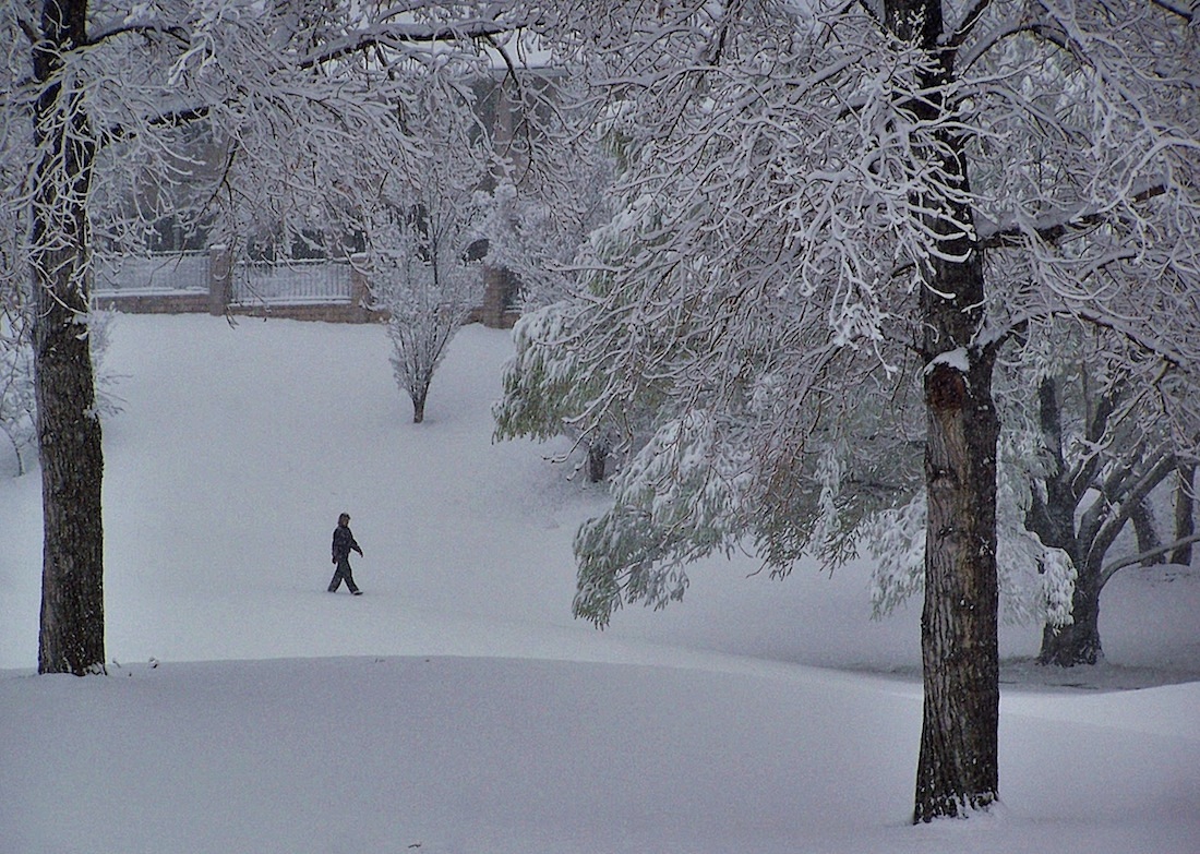 snowscene.jpg