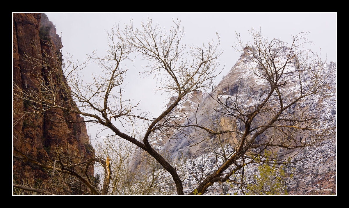 Snowy-Day-Zion-2.jpg