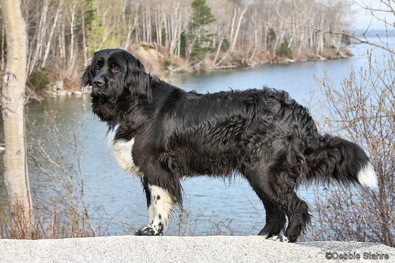 Sophie_4454.jpg
