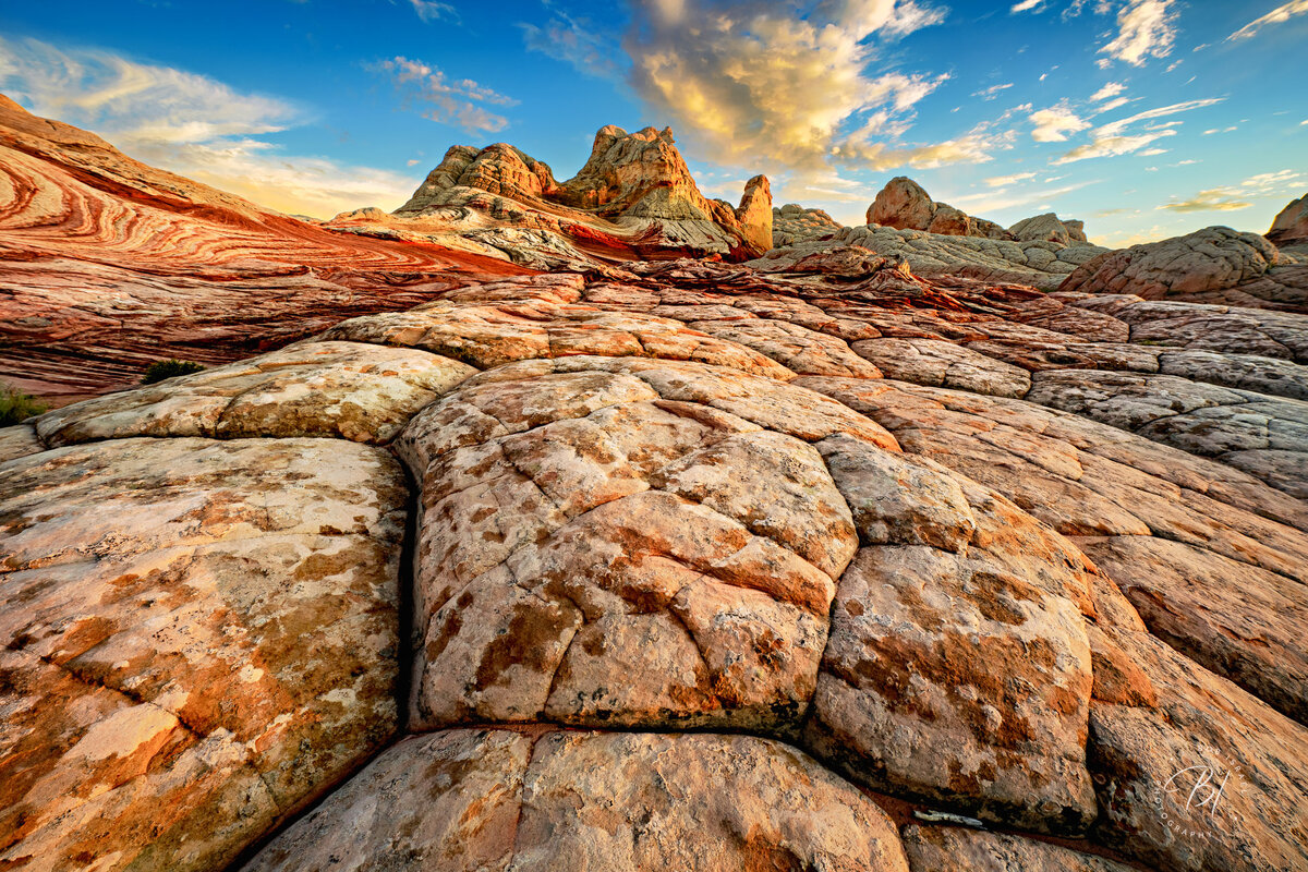 Southwest 081123-369-HDR-Edit-2-Edit.jpg