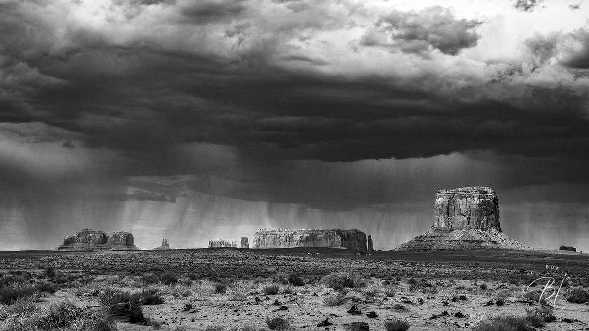 Southwest 081323-185-Edit-Edit.jpg