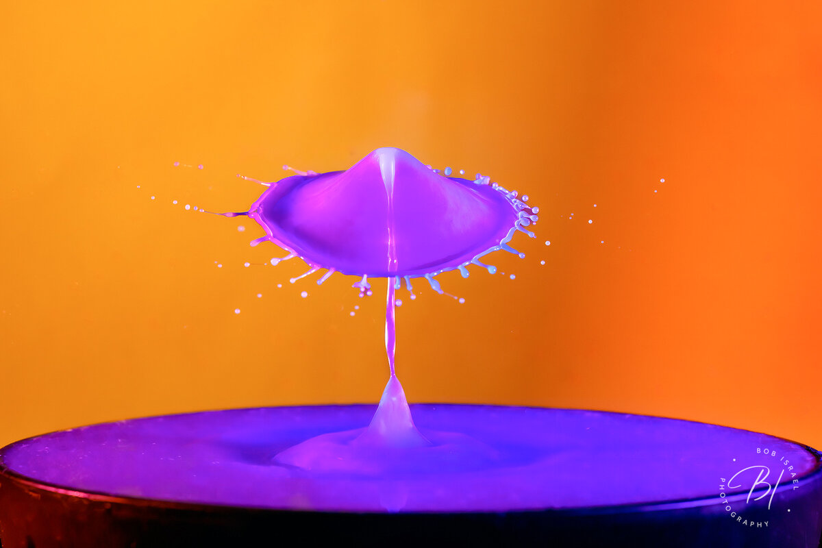 The Water Drop Journey Continues . . . Focal World