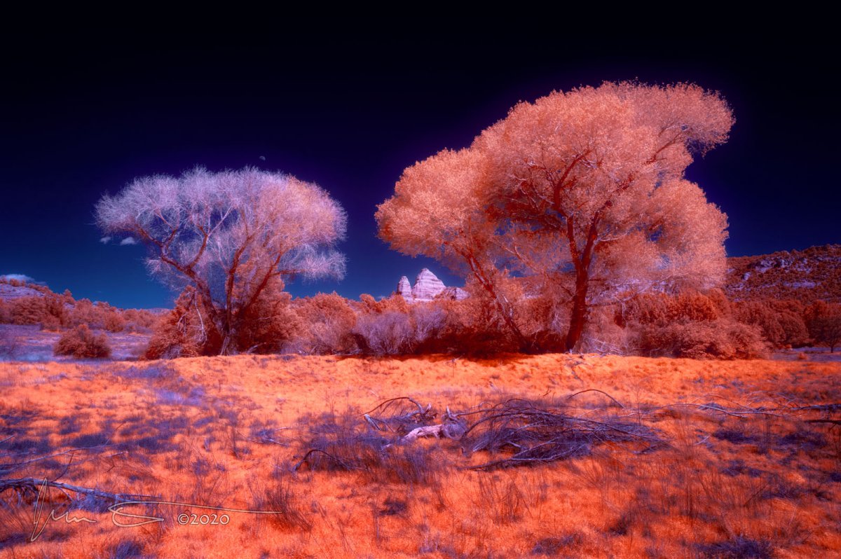 Springtime-at-Turkey-Creek-Tank-Infrared.jpg