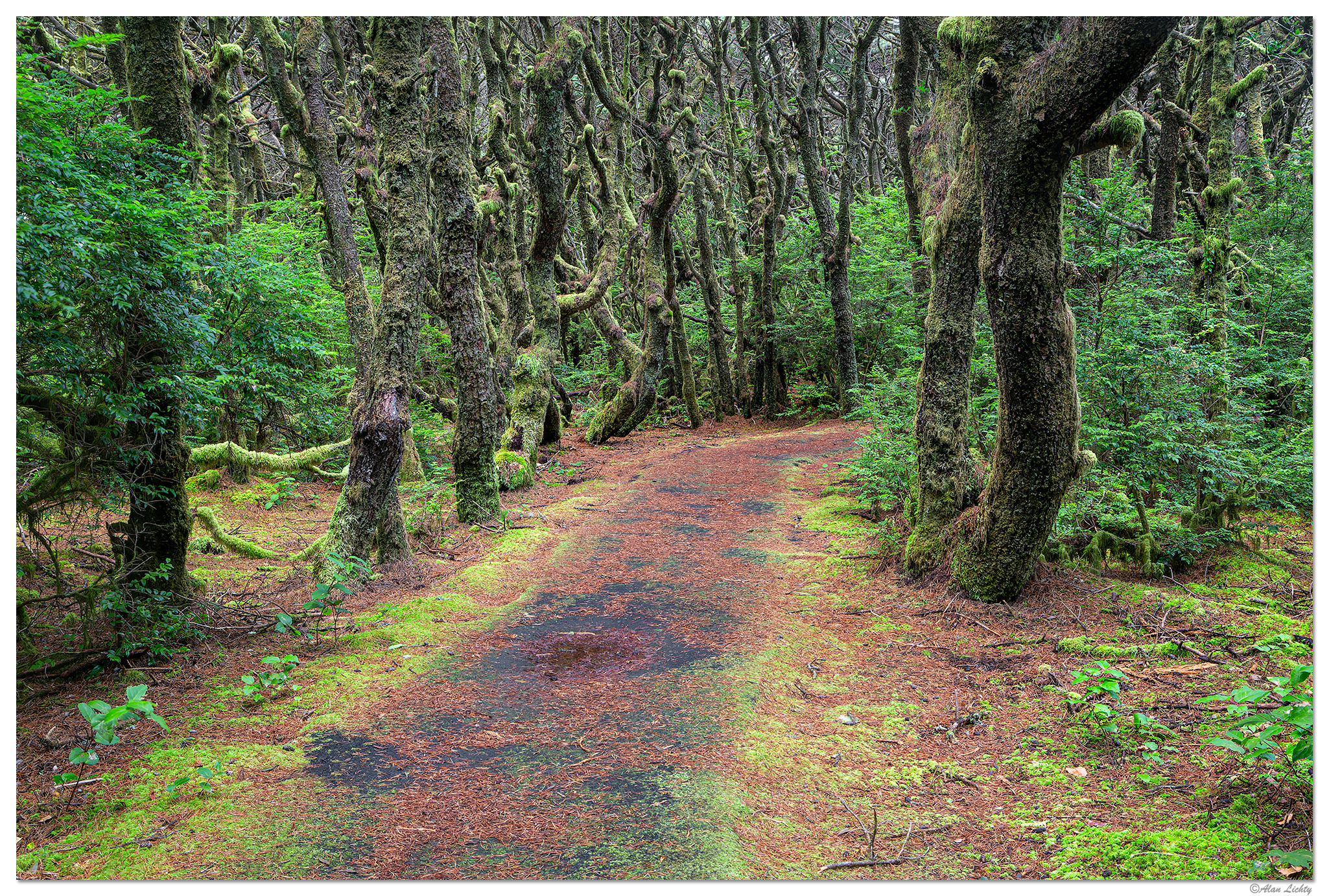 SS-CWashburneTrail.jpg