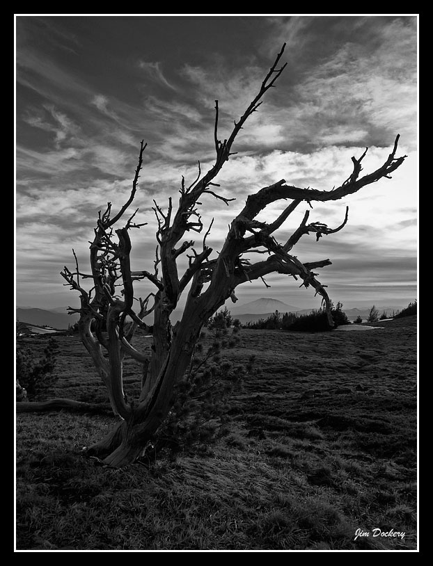 St.-Helens-from-Adams-BW.jpg