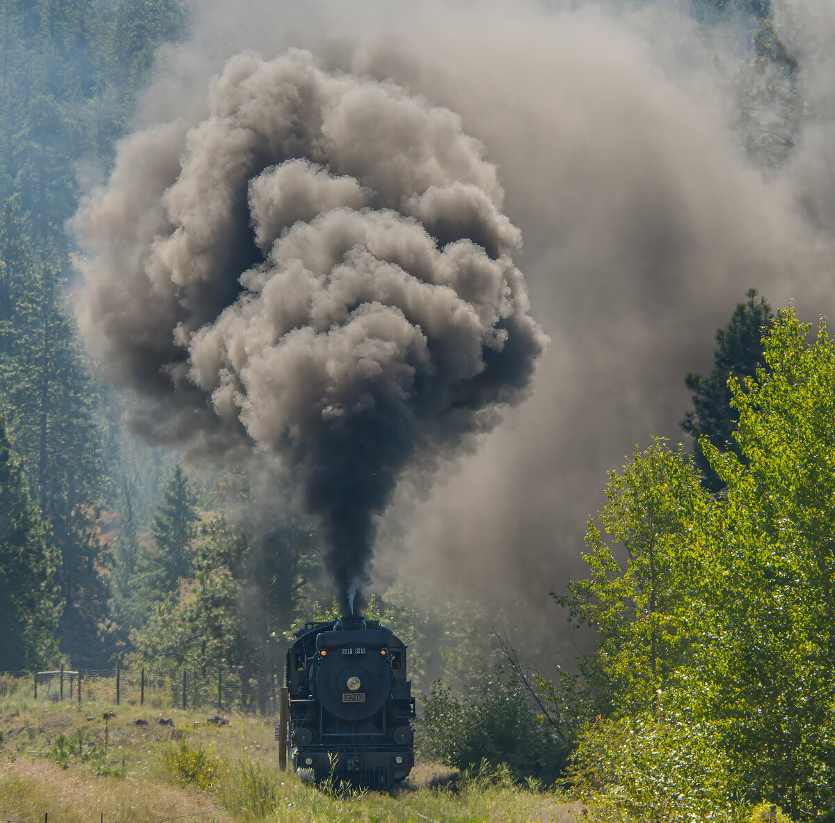 Steam engine 3716 .jpg