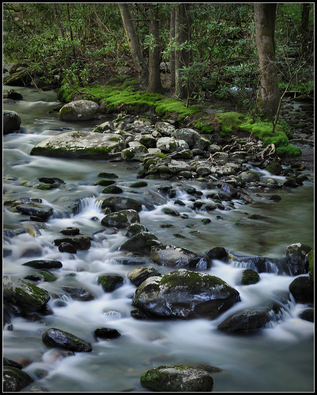 Stepping Stones.jpg