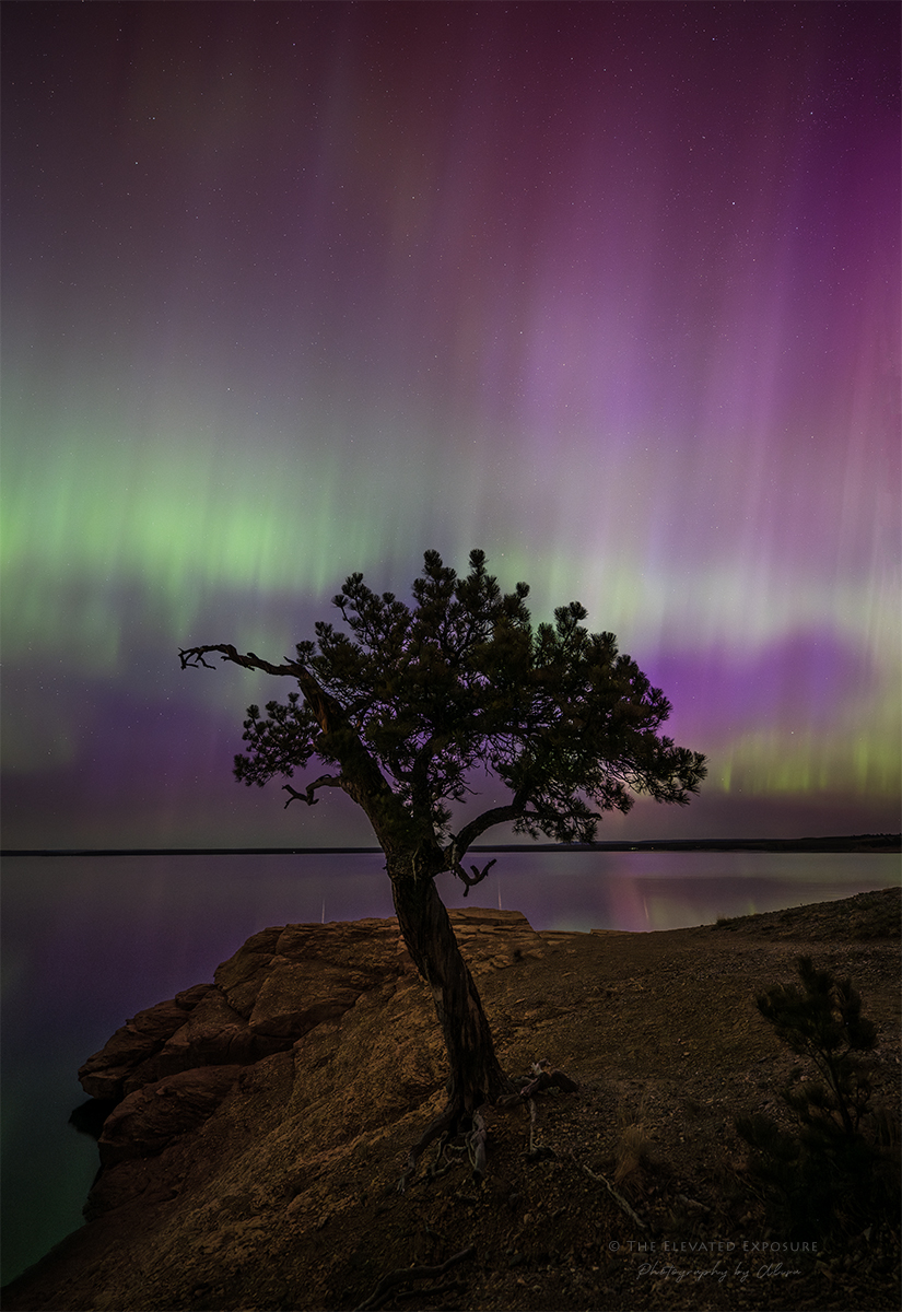 straight horizon and tree copy.jpg