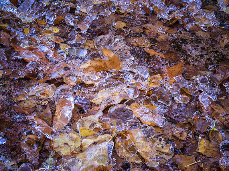 Subway-ice-copy.jpg