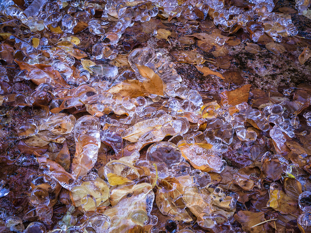 Subway-ice.jpg