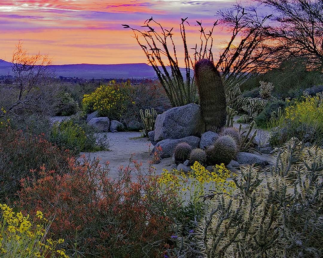 Sunrise at Anza Borrego State Preserve, CA final.jpg