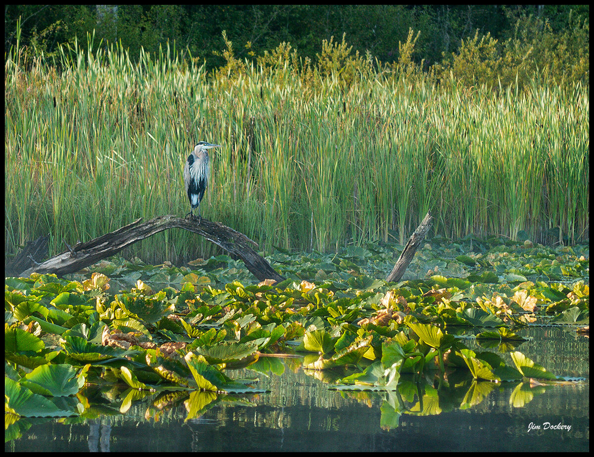 Sunrise-Paddle-Lk-Casidy-167.jpg