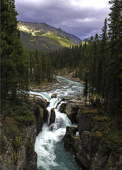 Sunwapta Fall vert.jpg