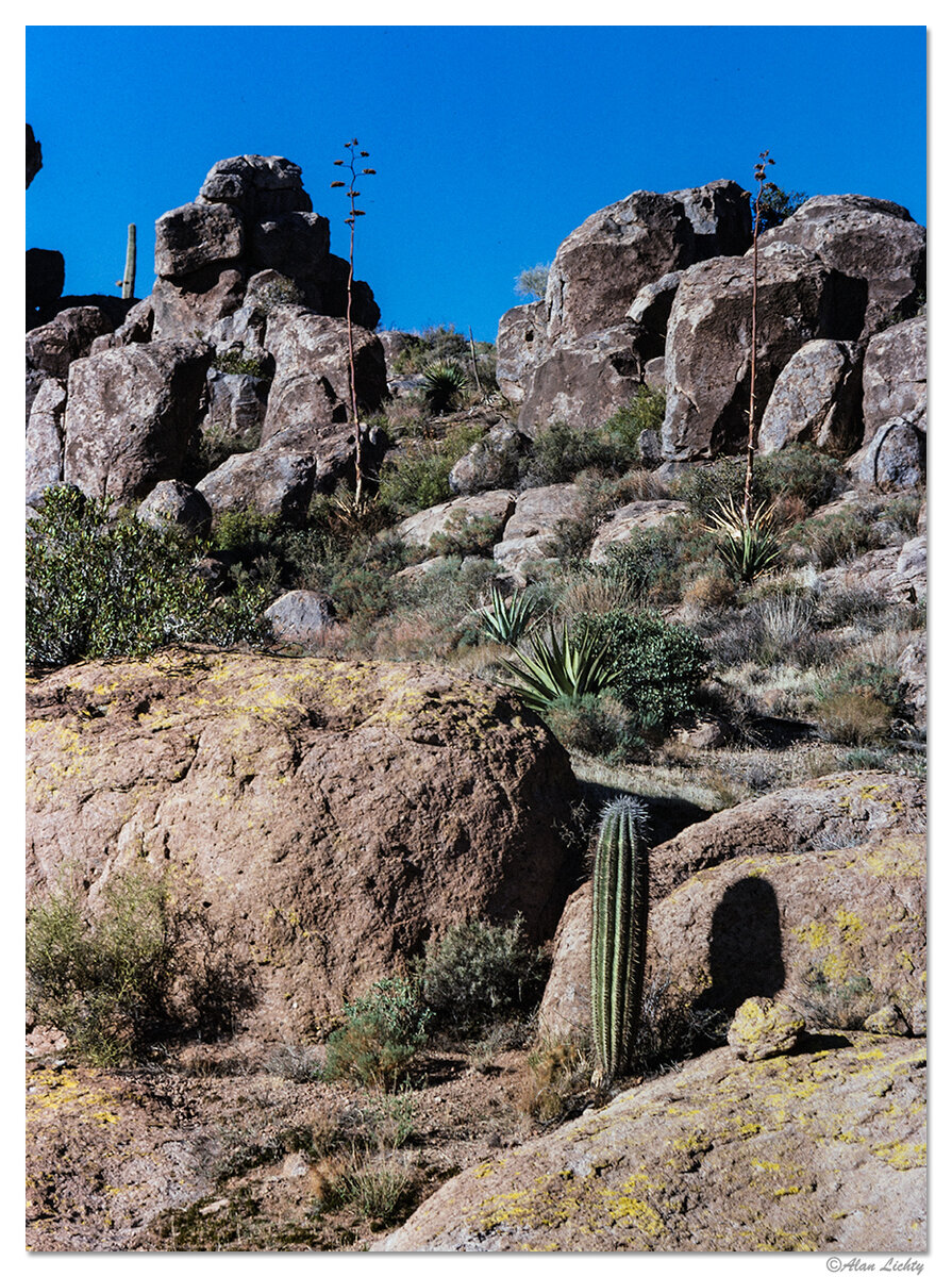 Superstitions1.jpg