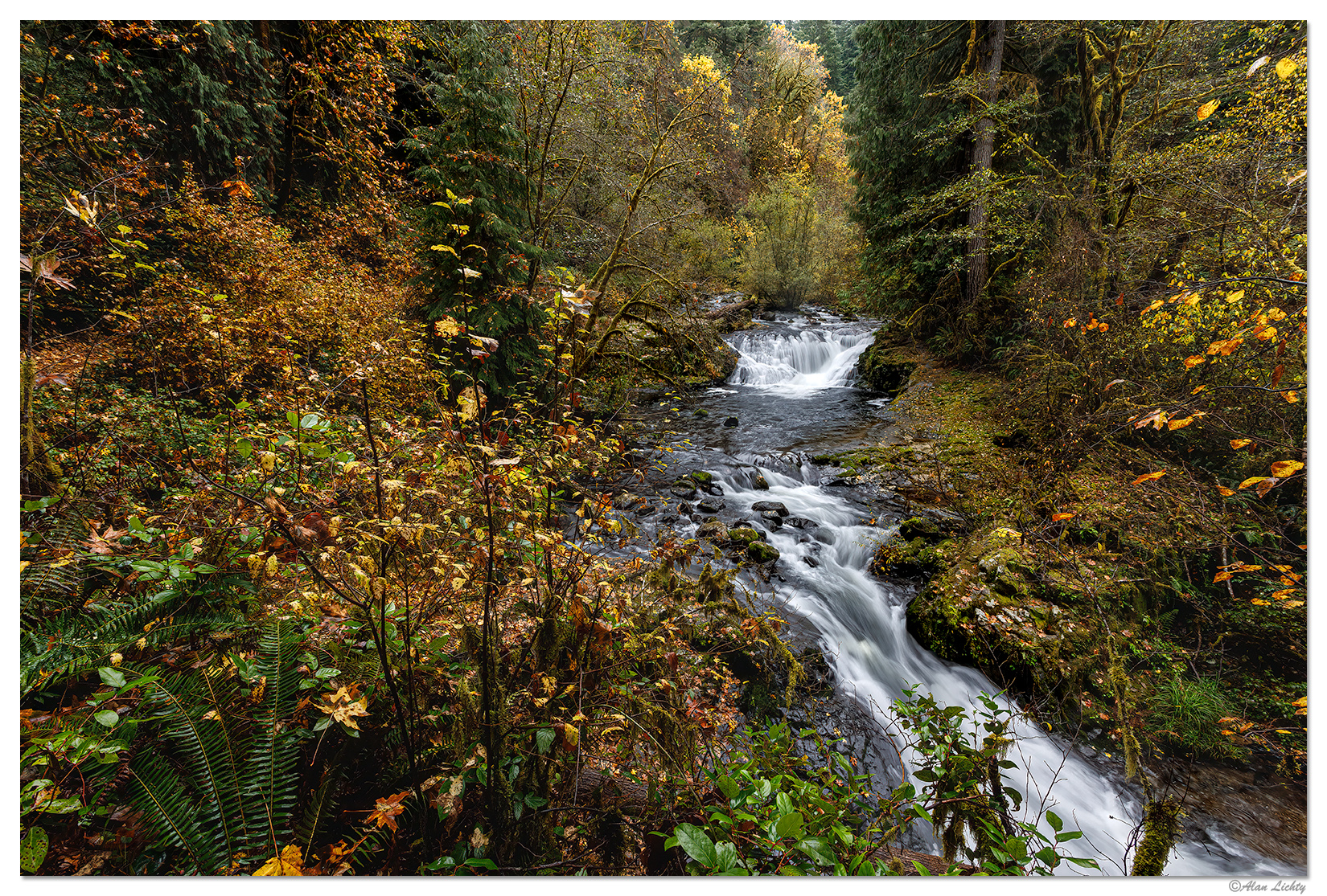 SweetCreek1.jpg