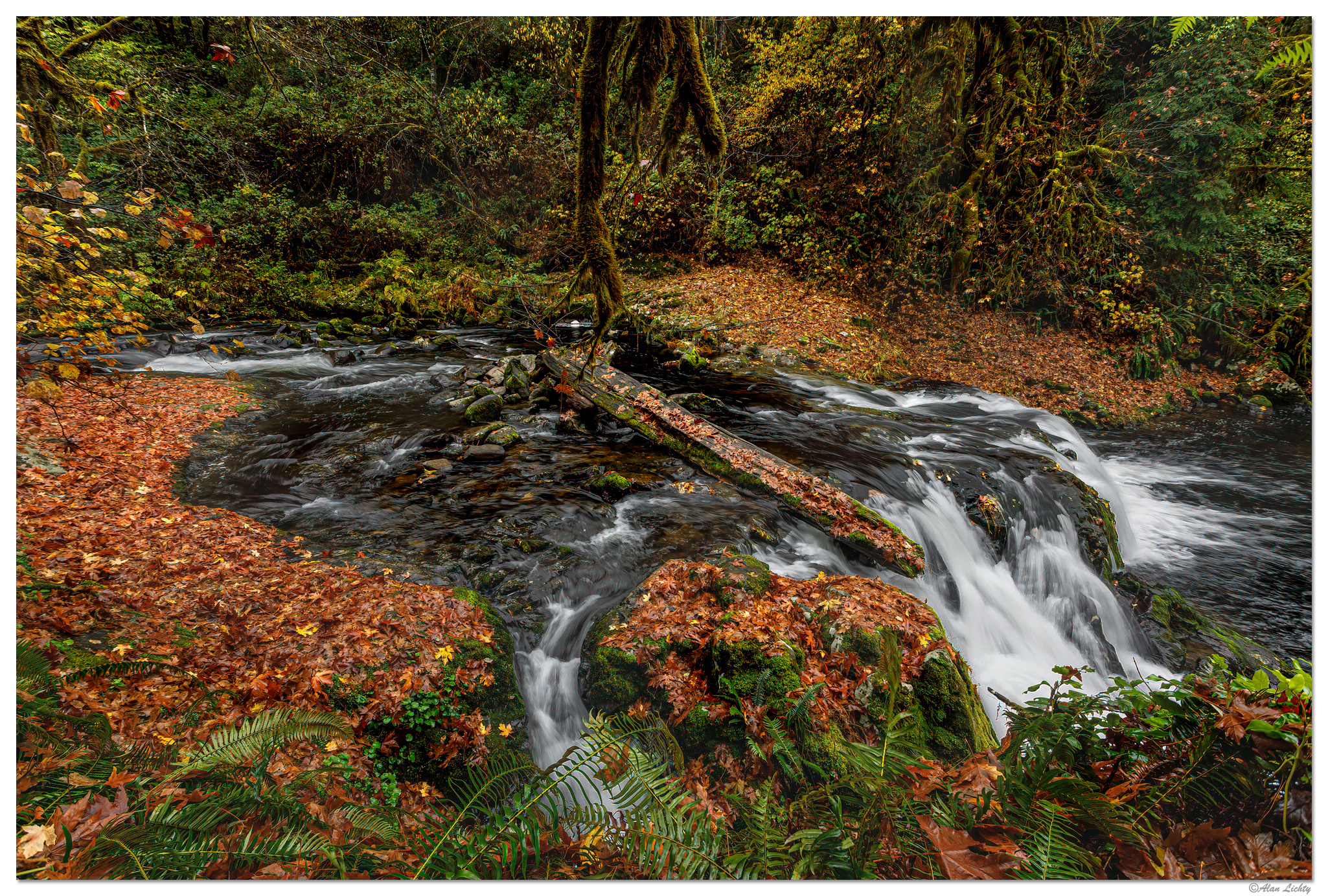 SweetCreek1stFalls.jpg