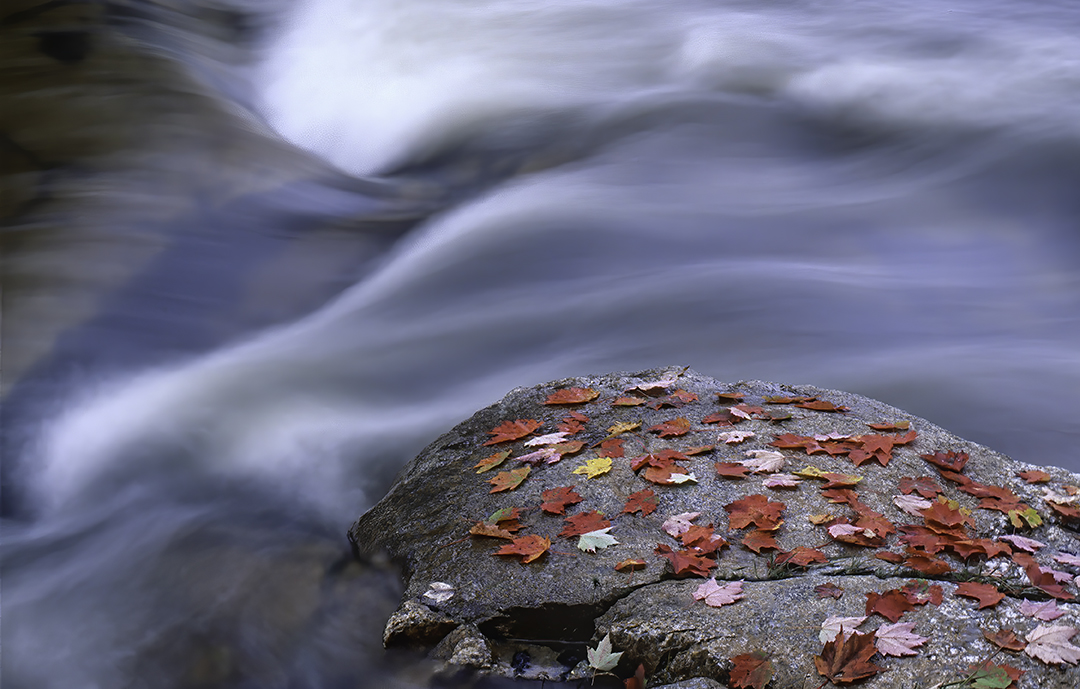 Swift River close-up.jpg