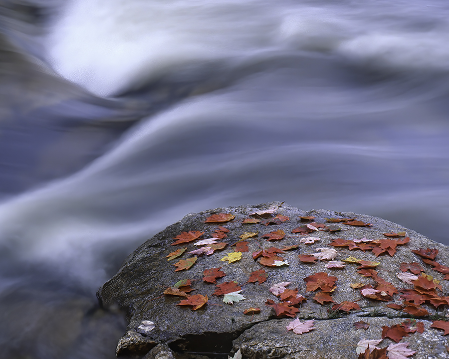 Swift River close-up.jpg