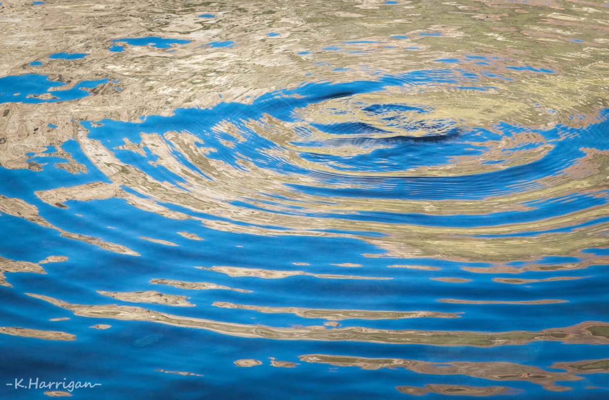 Swirls of Blue and Gold.jpg