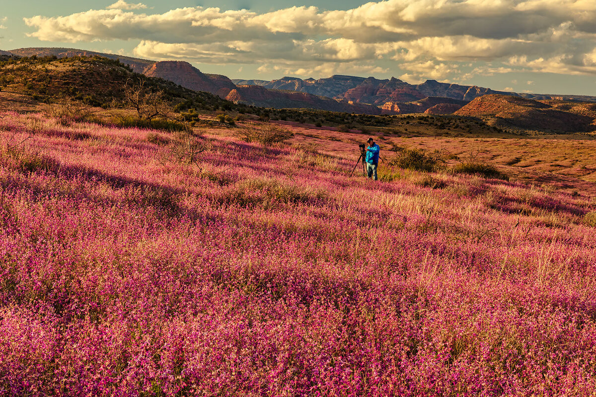Sycamore canyon-Doug.jpg