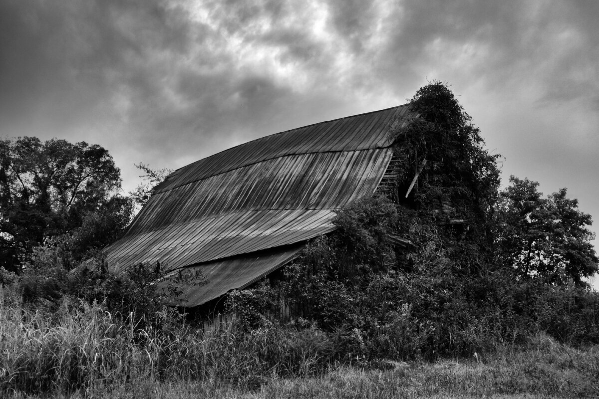 T2i_1729_110914_bw.jpg