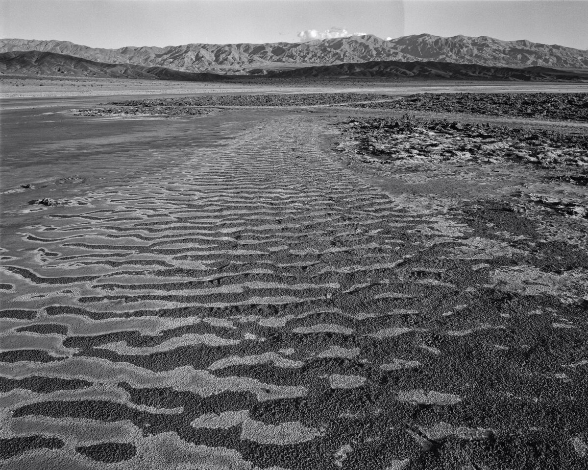 T45_200309_007_SE1w.jpg