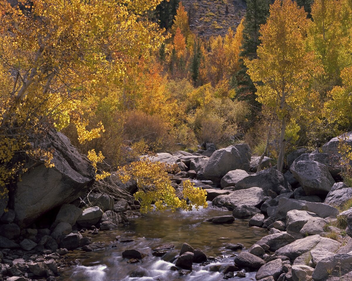 T45rdpep_0001_131001_p3w.jpg