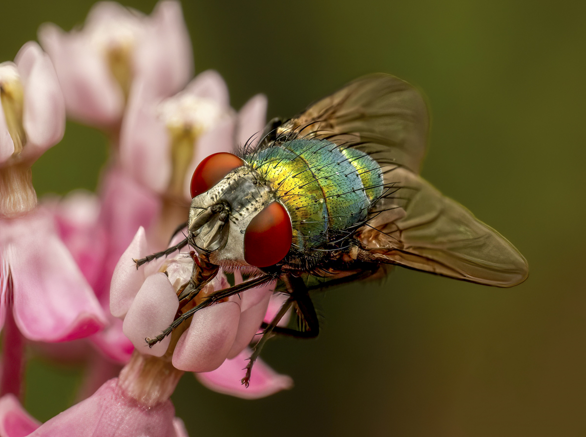 T7181490-Edit-Edit.jpg