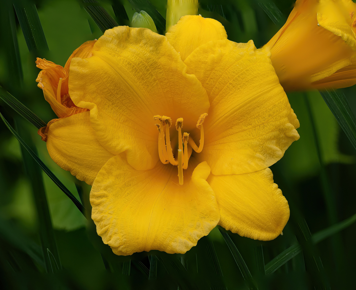 T7251627 stacked-Edit.jpg