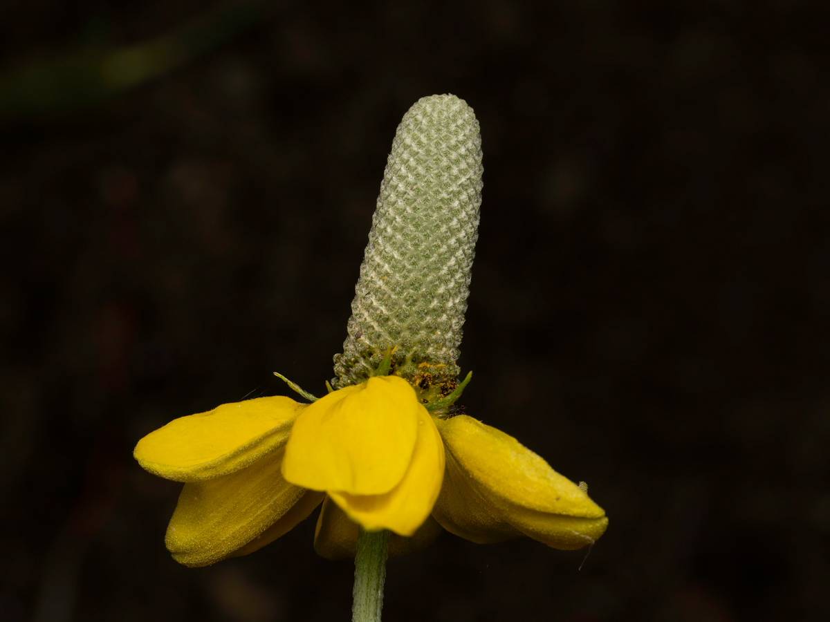 T8111898-Edit.jpg